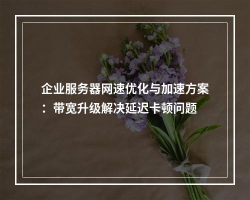 企业服务器网速优化与加速方案：带宽升级解决延迟卡顿问题