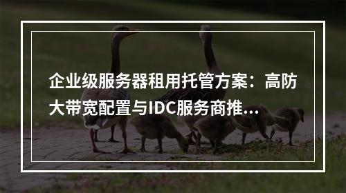 企业级服务器租用托管方案：高防大带宽配置与IDC服务商推荐