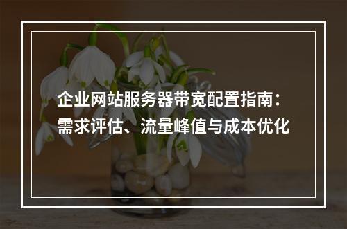 企业网站服务器带宽配置指南：需求评估、流量峰值与成本优化