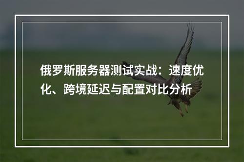 俄罗斯服务器测试实战：速度优化、跨境延迟与配置对比分析