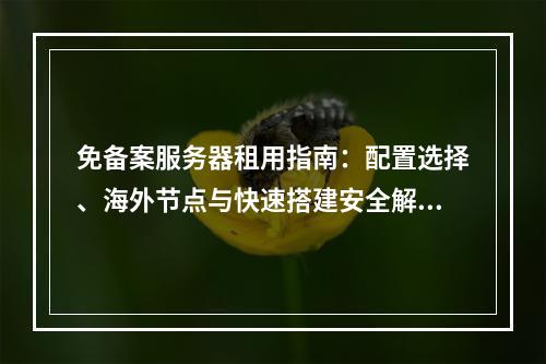 免备案服务器租用指南：配置选择、海外节点与快速搭建安全解析