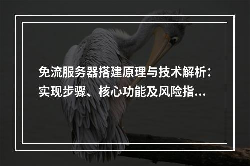 免流服务器搭建原理与技术解析：实现步骤、核心功能及风险指南