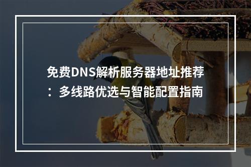免费DNS解析服务器地址推荐：多线路优选与智能配置指南