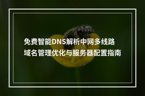 免费智能DNS解析中网多线路域名管理优化与服务器配置指南