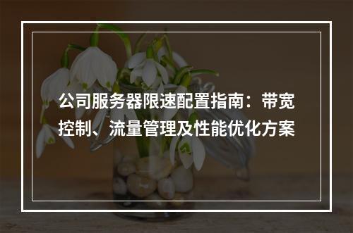 公司服务器限速配置指南：带宽控制、流量管理及性能优化方案
