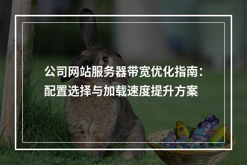 公司网站服务器带宽优化指南：配置选择与加载速度提升方案