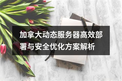 加拿大动态服务器高效部署与安全优化方案解析