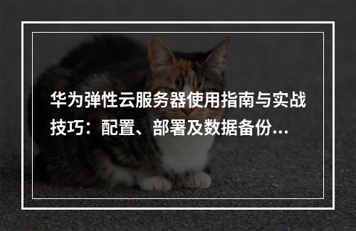 华为弹性云服务器使用指南与实战技巧：配置、部署及数据备份详解