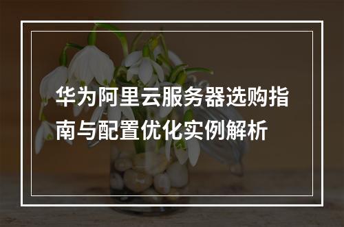 华为阿里云服务器选购指南与配置优化实例解析