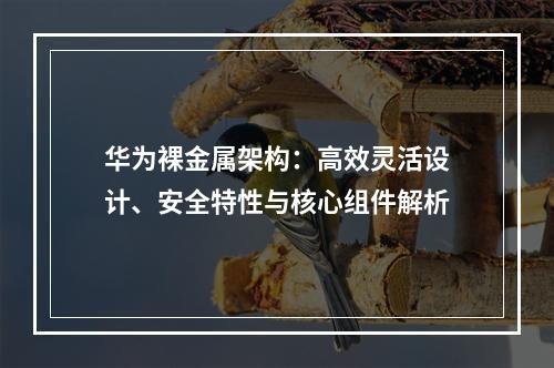 华为裸金属架构：高效灵活设计、安全特性与核心组件解析