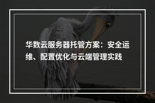 华数云服务器托管方案：安全运维、配置优化与云端管理实践