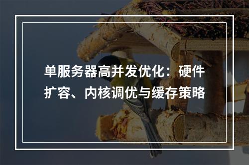 单服务器高并发优化：硬件扩容、内核调优与缓存策略