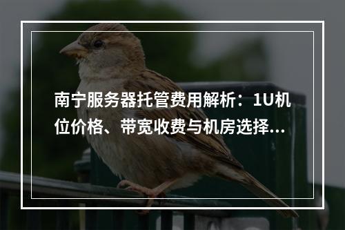 南宁服务器托管费用解析：1U机位价格、带宽收费与机房选择指南