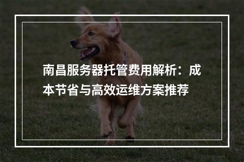 南昌服务器托管费用解析：成本节省与高效运维方案推荐