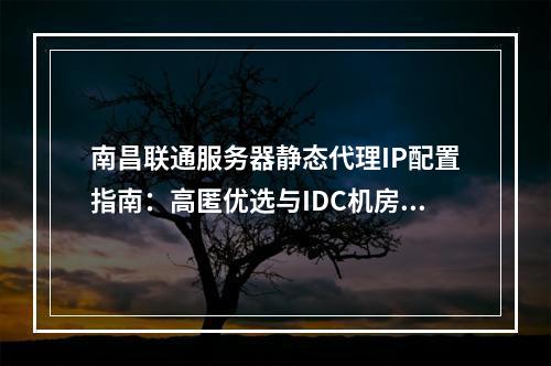 南昌联通服务器静态代理IP配置指南：高匿优选与IDC机房解析