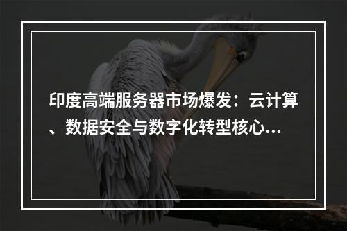 印度高端服务器市场爆发：云计算、数据安全与数字化转型核心趋势