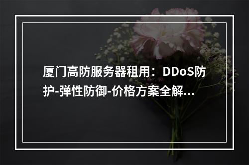 厦门高防服务器租用：DDoS防护-弹性防御-价格方案全解析