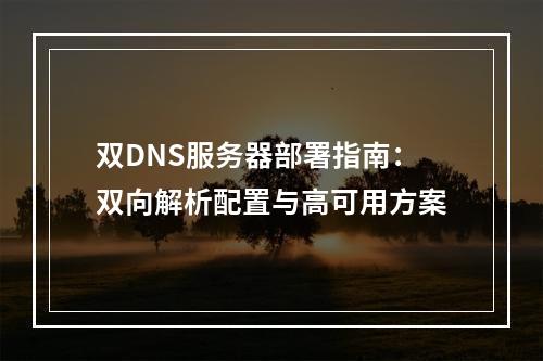双DNS服务器部署指南：双向解析配置与高可用方案