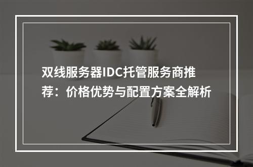 双线服务器IDC托管服务商推荐：价格优势与配置方案全解析