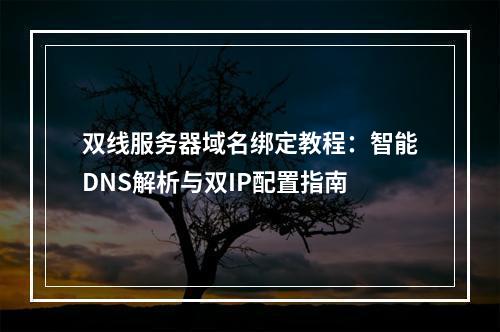 双线服务器域名绑定教程：智能DNS解析与双IP配置指南
