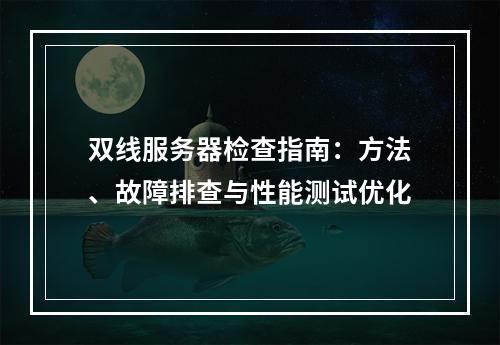 双线服务器检查指南：方法、故障排查与性能测试优化