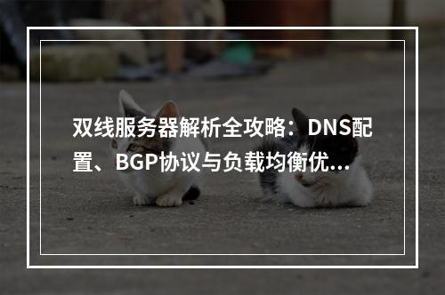 双线服务器解析全攻略：DNS配置、BGP协议与负载均衡优化