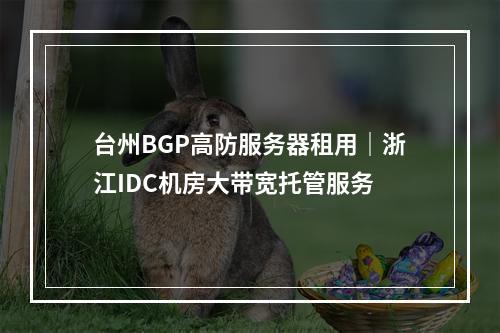 台州BGP高防服务器租用｜浙江IDC机房大带宽托管服务