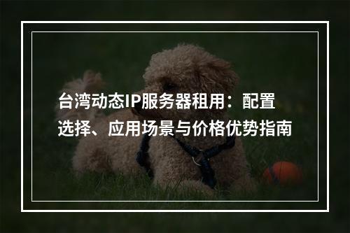 台湾动态IP服务器租用：配置选择、应用场景与价格优势指南