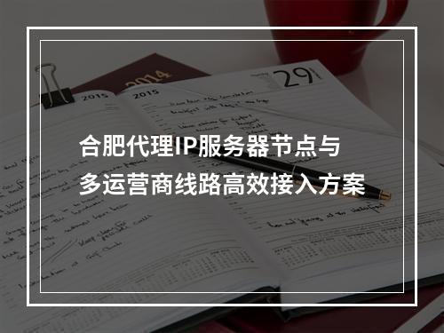 合肥代理IP服务器节点与多运营商线路高效接入方案