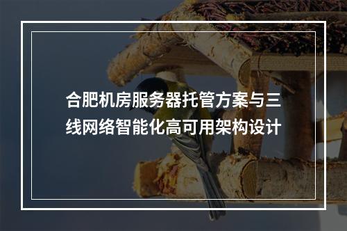 合肥机房服务器托管方案与三线网络智能化高可用架构设计