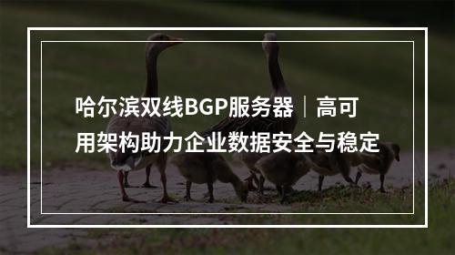 哈尔滨双线BGP服务器｜高可用架构助力企业数据安全与稳定