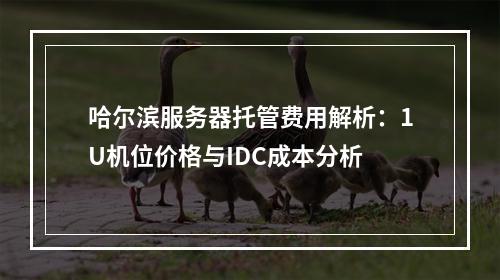 哈尔滨服务器托管费用解析：1U机位价格与IDC成本分析