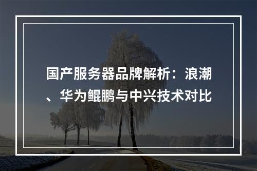 国产服务器品牌解析：浪潮、华为鲲鹏与中兴技术对比