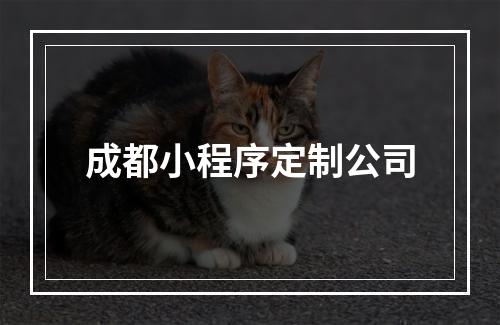 成都小程序定制公司