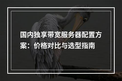 国内独享带宽服务器配置方案：价格对比与选型指南