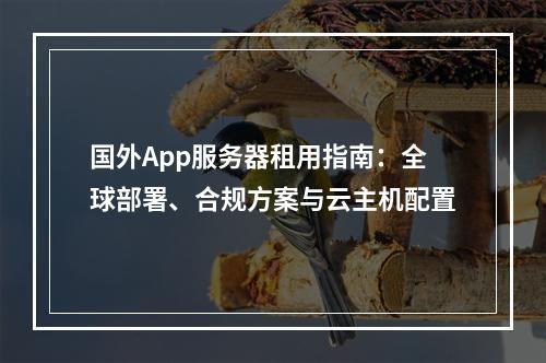 国外App服务器租用指南：全球部署、合规方案与云主机配置