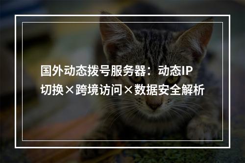 国外动态拨号服务器：动态IP切换×跨境访问×数据安全解析
