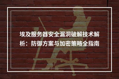 埃及服务器安全漏洞破解技术解析：防御方案与加密策略全指南