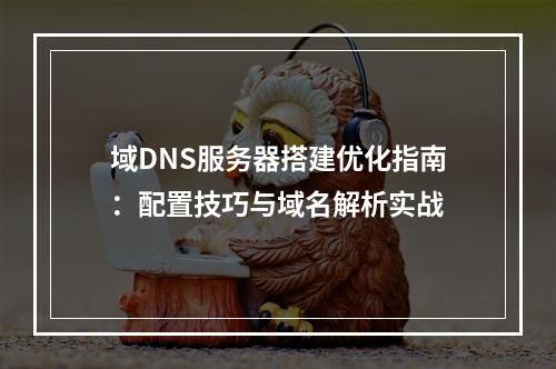 域DNS服务器搭建优化指南：配置技巧与域名解析实战
