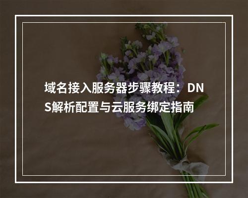 域名接入服务器步骤教程：DNS解析配置与云服务绑定指南