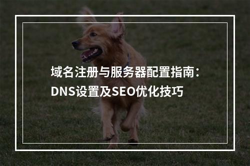 域名注册与服务器配置指南：DNS设置及SEO优化技巧