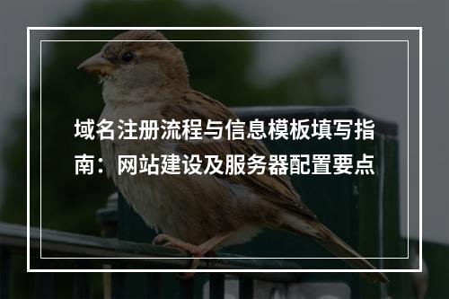 域名注册流程与信息模板填写指南：网站建设及服务器配置要点