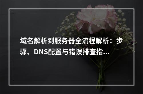 域名解析到服务器全流程解析：步骤、DNS配置与错误排查指南