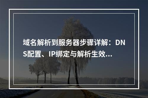 域名解析到服务器步骤详解：DNS配置、IP绑定与解析生效指南