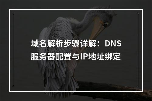 域名解析步骤详解：DNS服务器配置与IP地址绑定