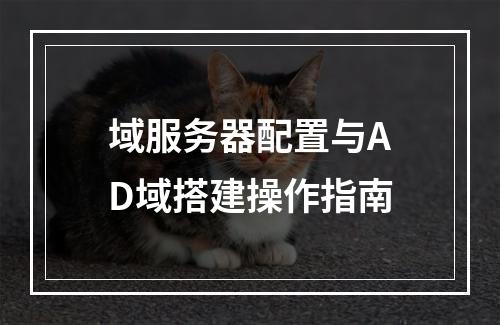 域服务器配置与AD域搭建操作指南