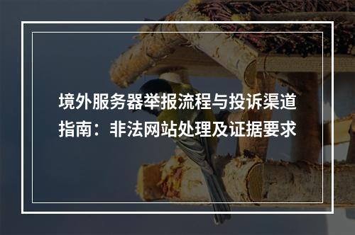 境外服务器举报流程与投诉渠道指南：非法网站处理及证据要求