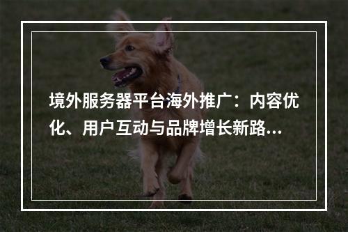 境外服务器平台海外推广：内容优化、用户互动与品牌增长新路径