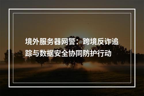 境外服务器网警：跨境反诈追踪与数据安全协同防护行动
