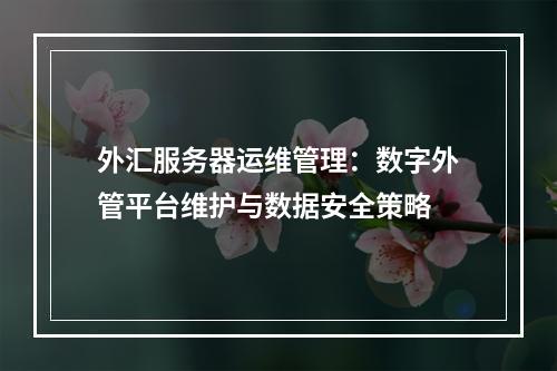 外汇服务器运维管理：数字外管平台维护与数据安全策略